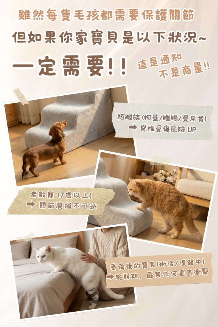 好膝力35°毛孩減壓坡