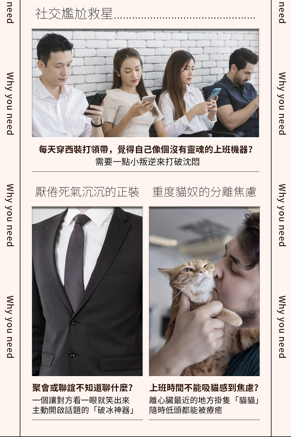 帶主子出門去貓貓領帶