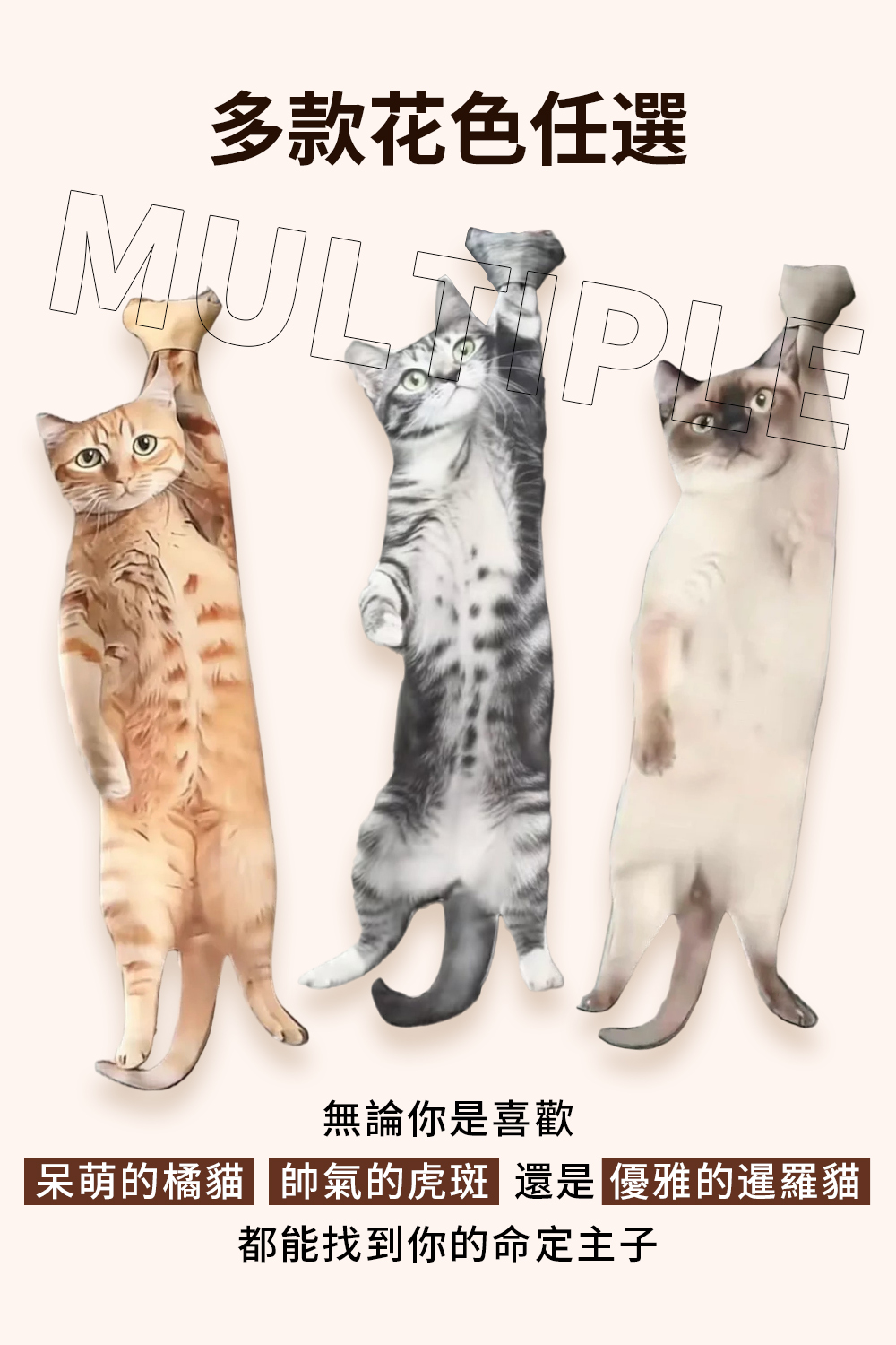 帶主子出門去貓貓領帶