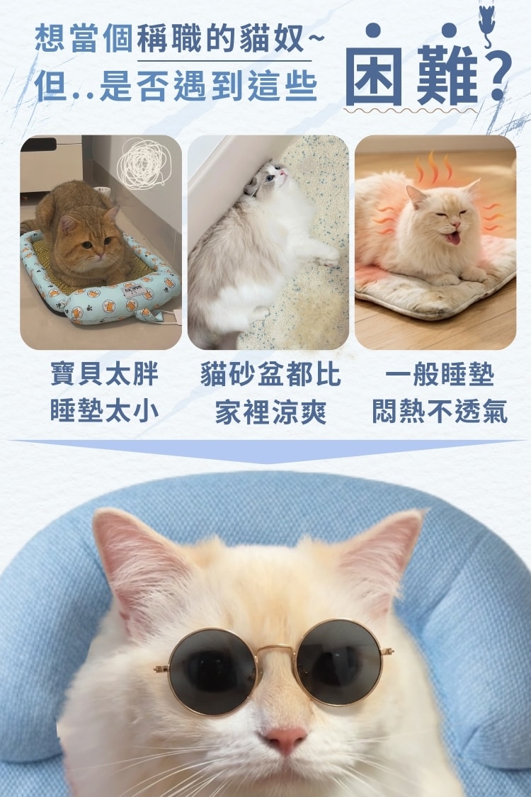 毛孩冰絲豆豆窩