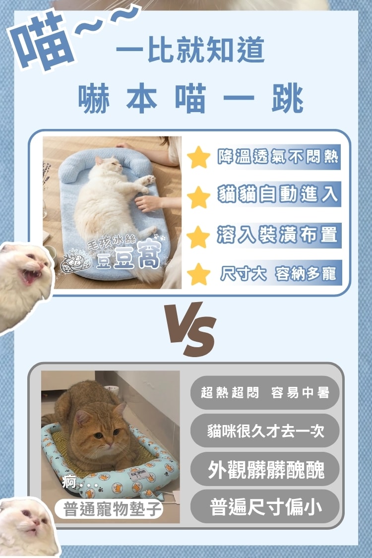 毛孩冰絲豆豆窩