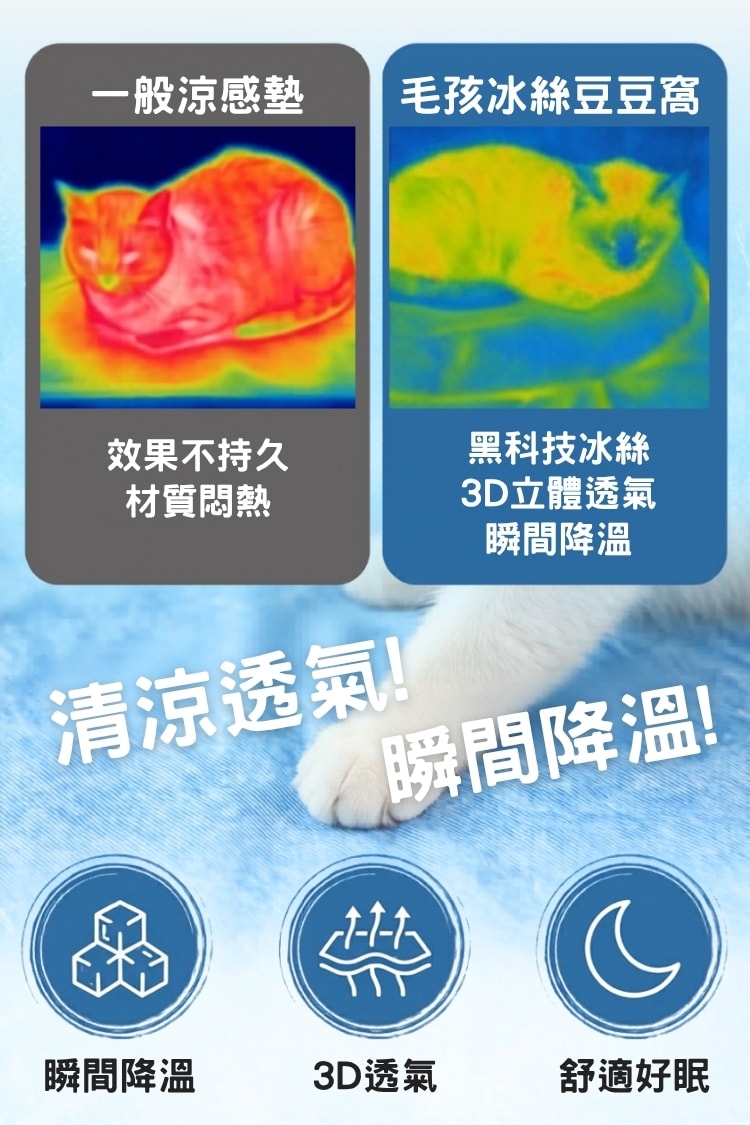 毛孩冰絲豆豆窩