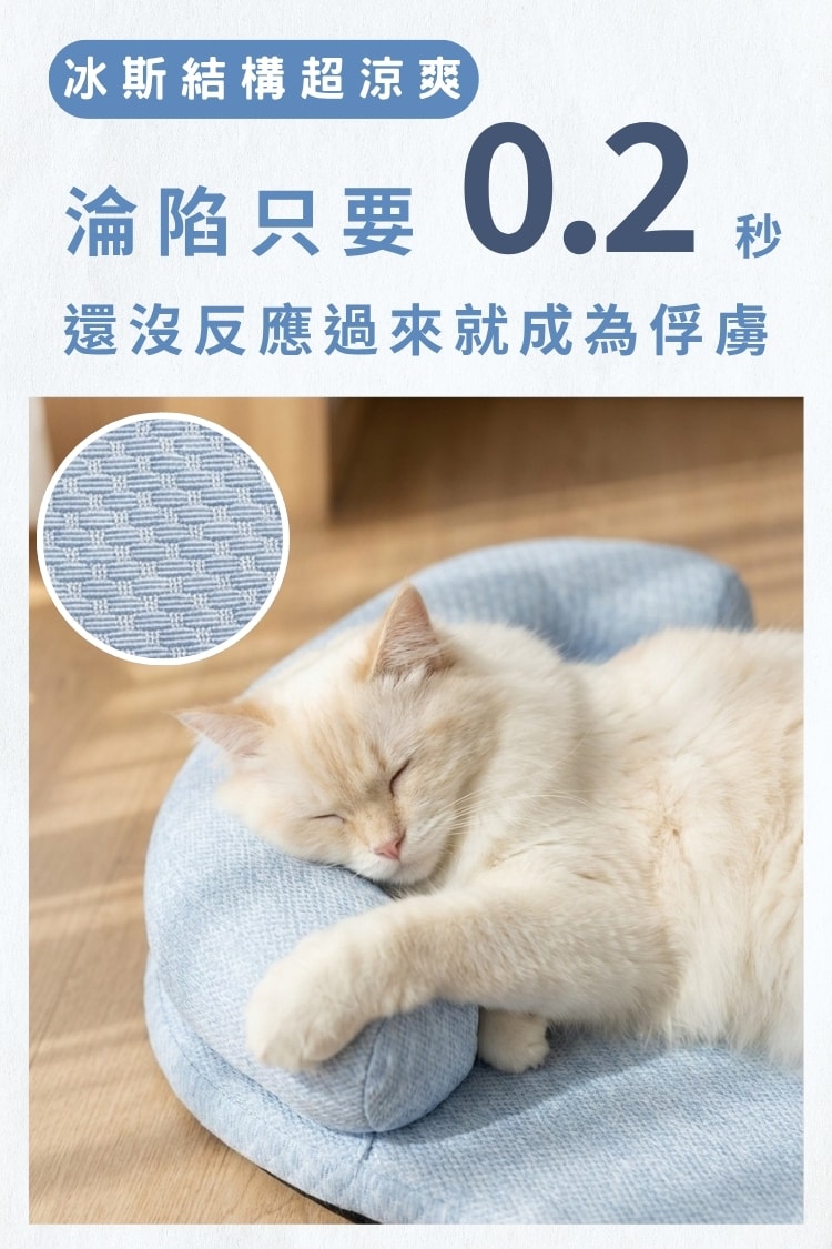 毛孩冰絲豆豆窩