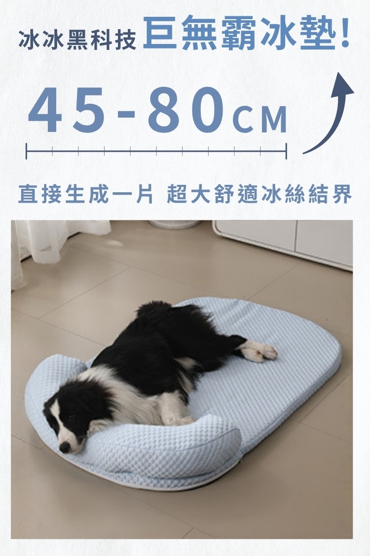 毛孩冰絲豆豆窩