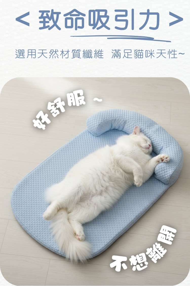 毛孩冰絲豆豆窩