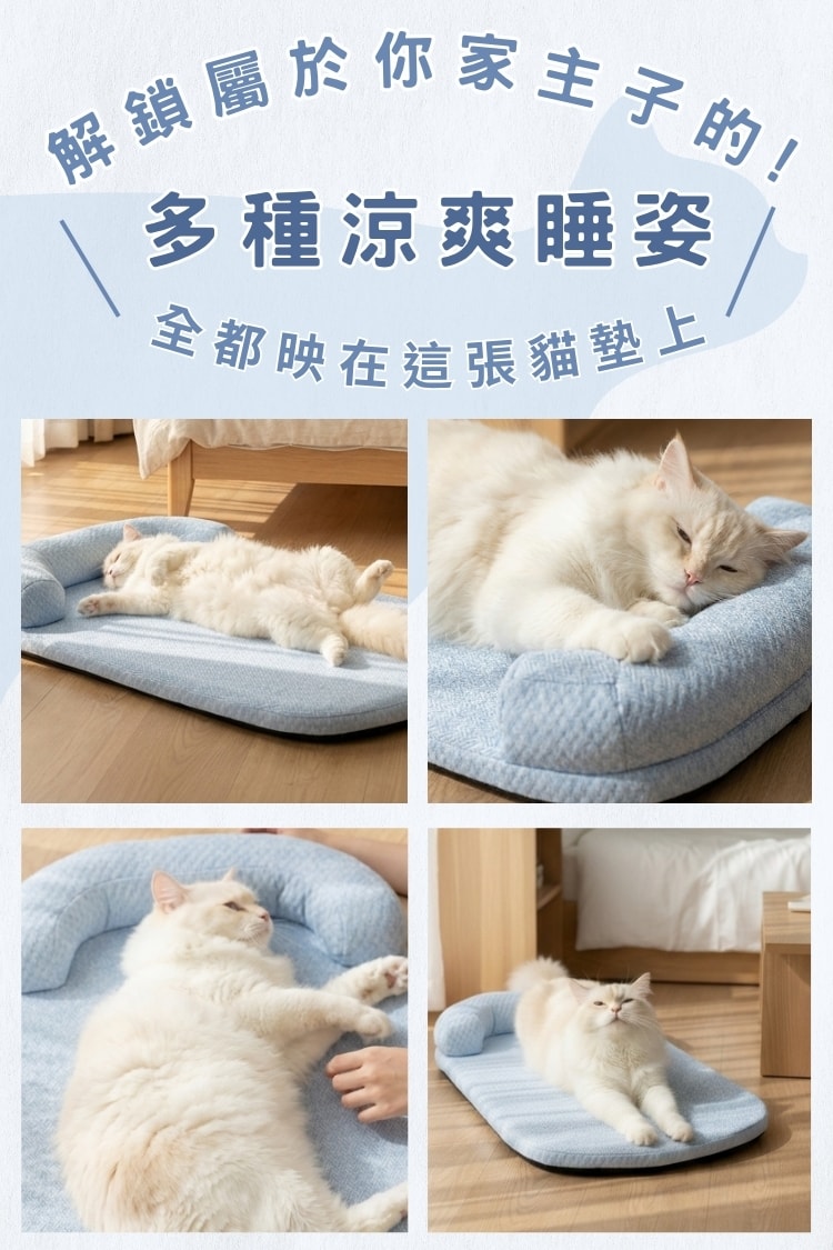 毛孩冰絲豆豆窩