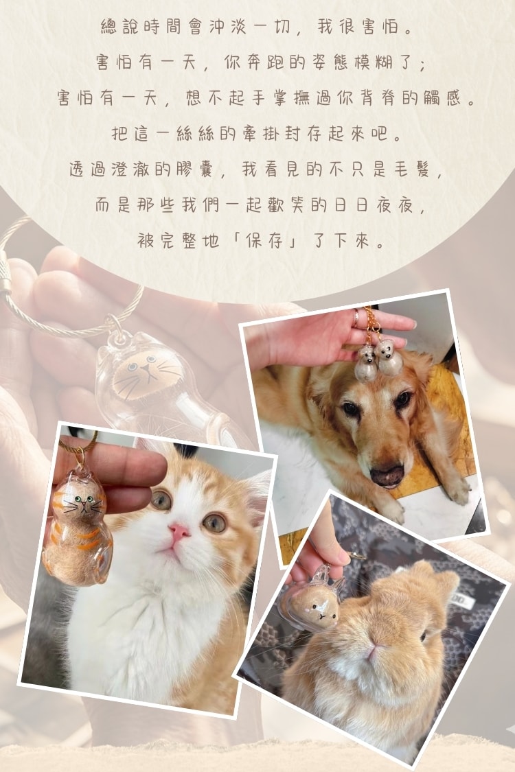 絲絲念時光膠囊