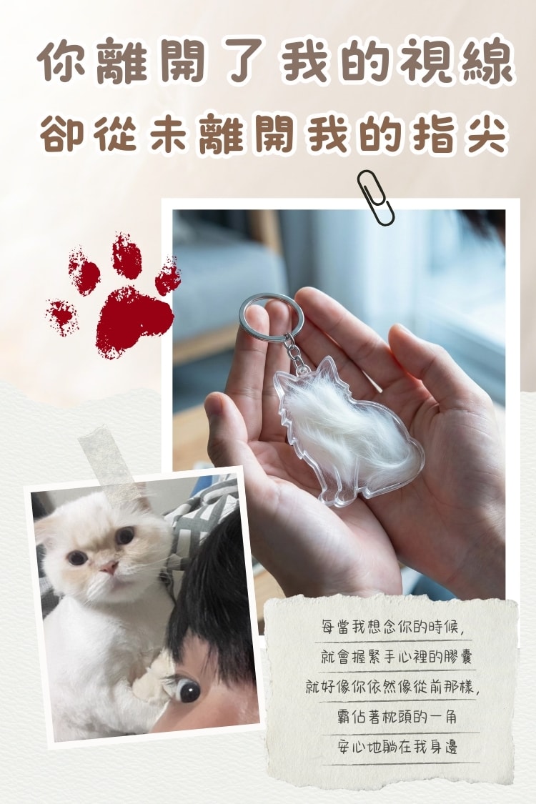 絲絲念時光膠囊