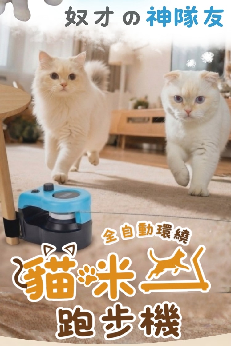 ColorFan 貓咪跑步機