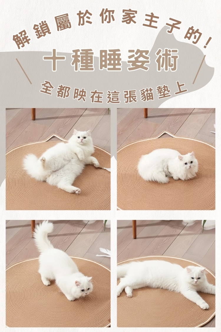 貓貓召喚陣x100CM領域展開召喚墊