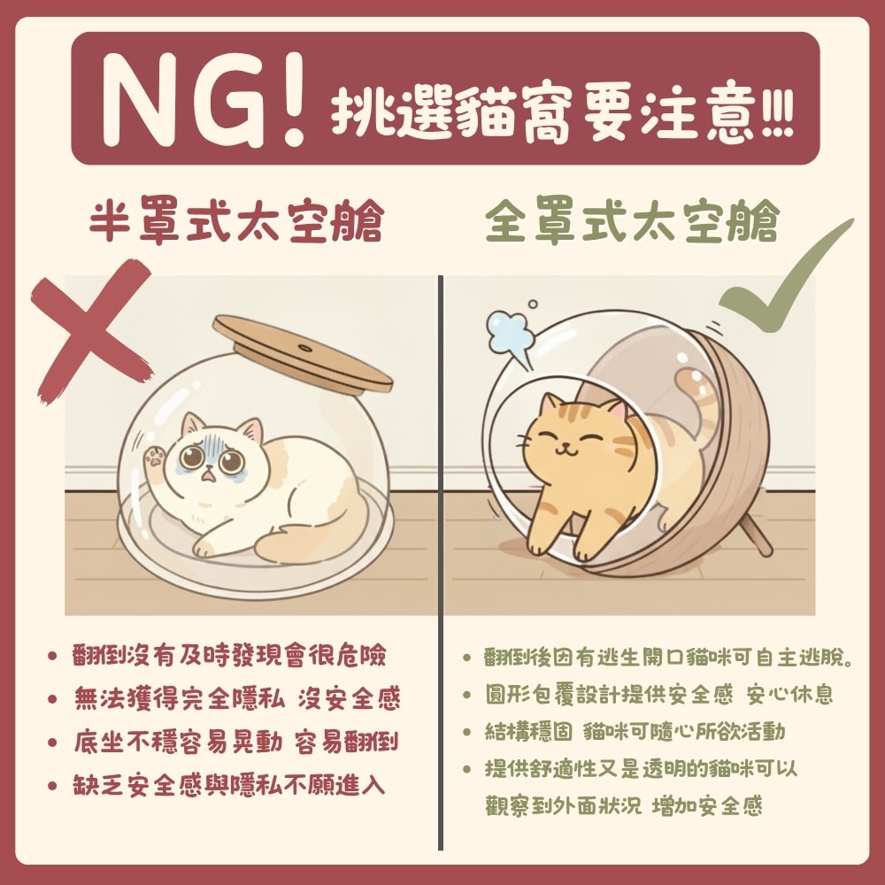 貓貓召喚陣x全裸透明貓窩