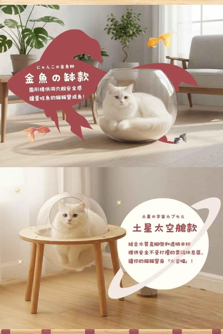 貓貓召喚陣x全裸透明貓窩