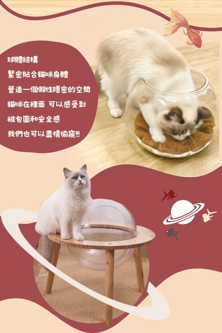 貓貓召喚陣x全裸透明貓窩