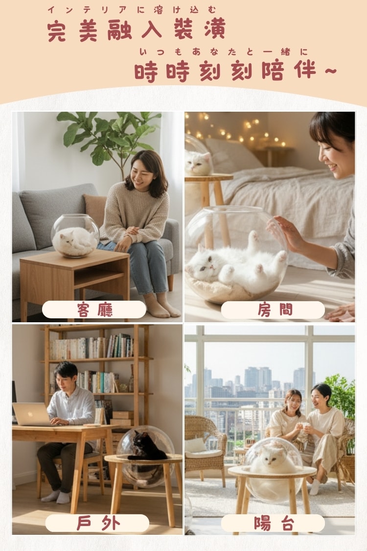 貓貓召喚陣x全裸透明貓窩