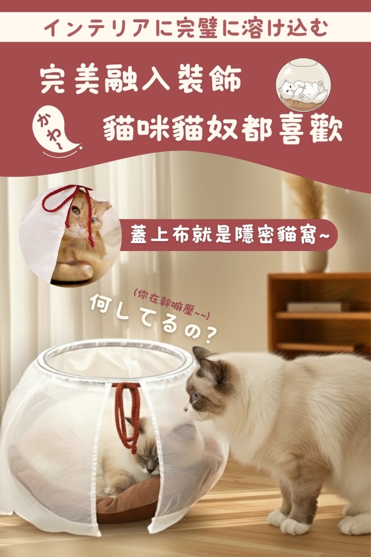 貓貓召喚陣x全裸透明貓窩