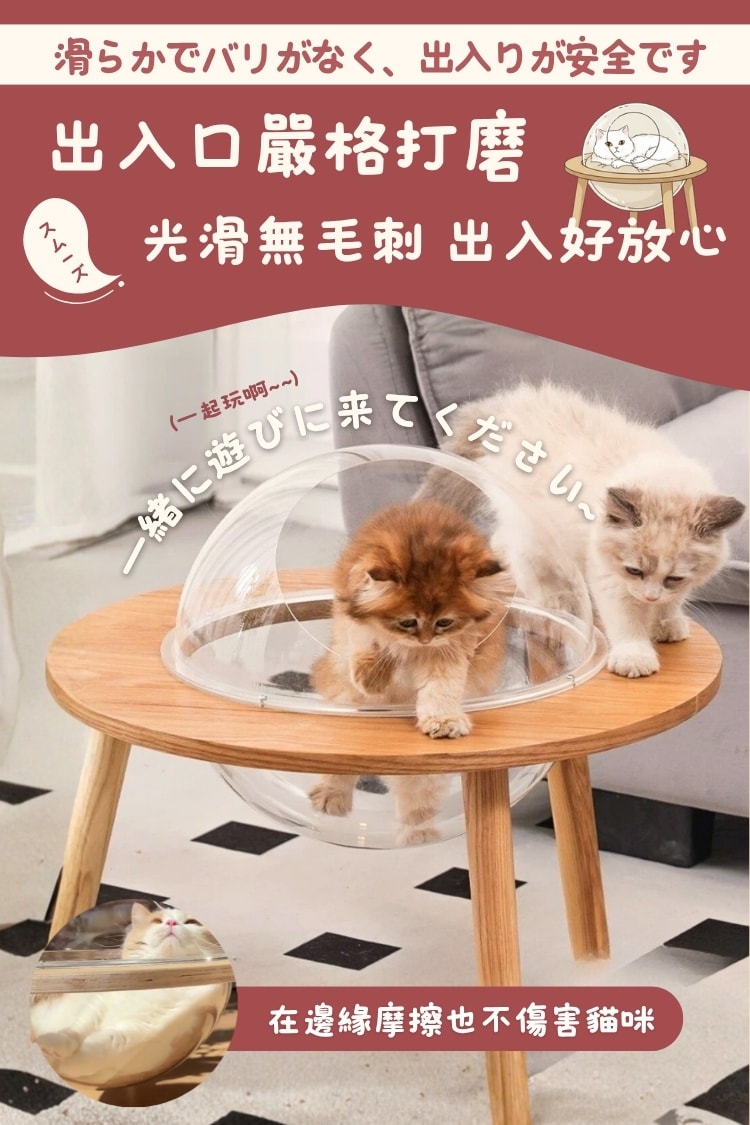 貓貓召喚陣x全裸透明貓窩