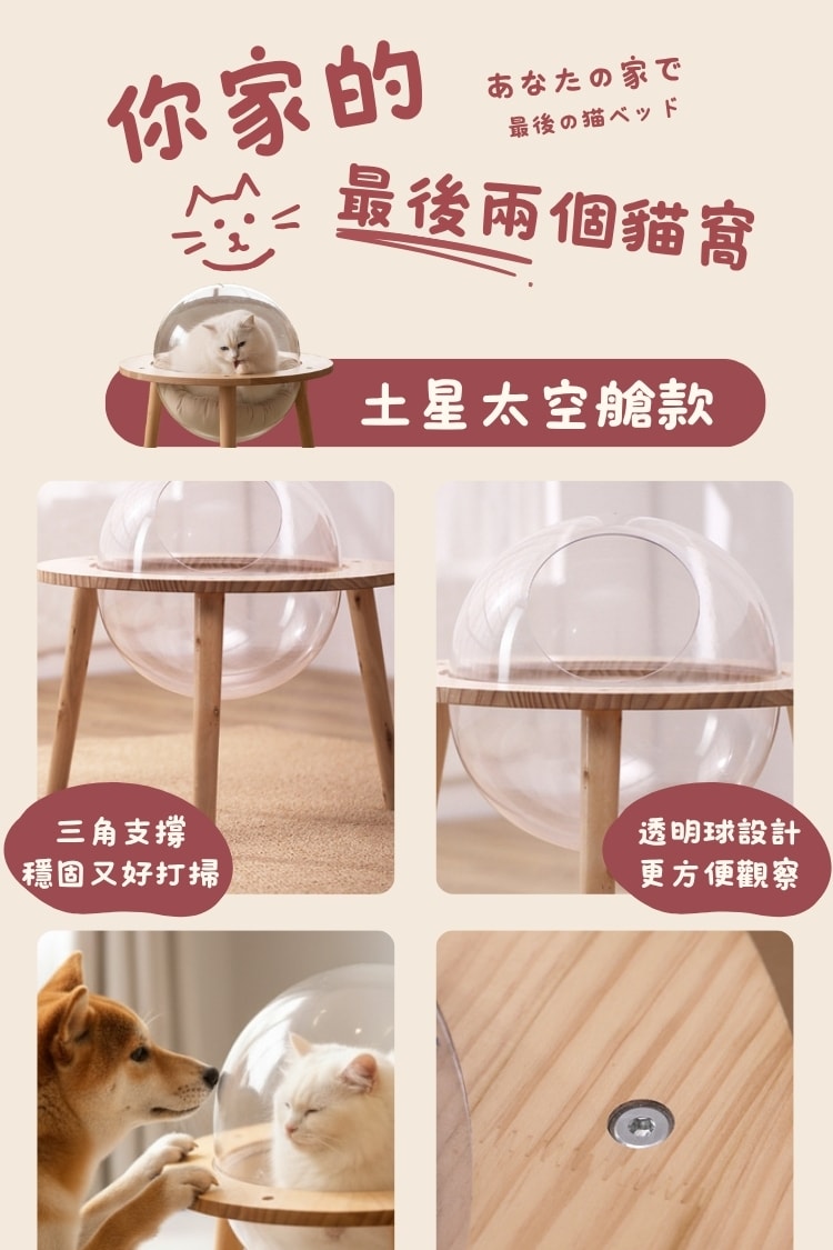 貓貓召喚陣x全裸透明貓窩