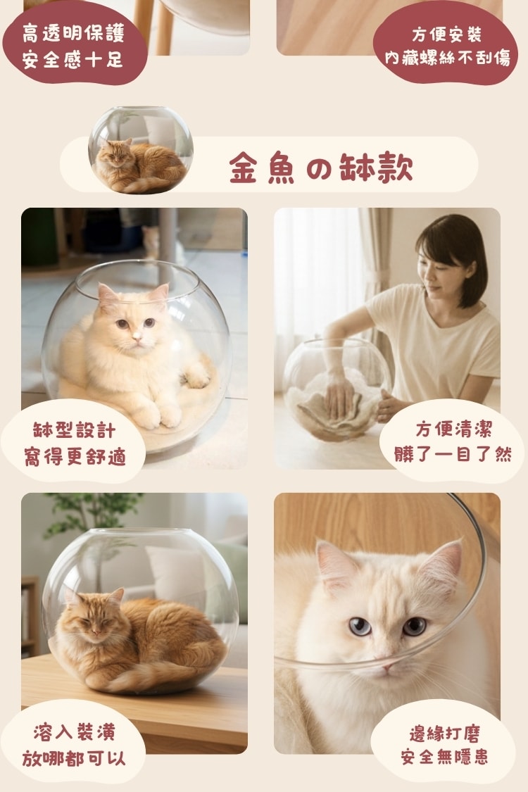 貓貓召喚陣x全裸透明貓窩