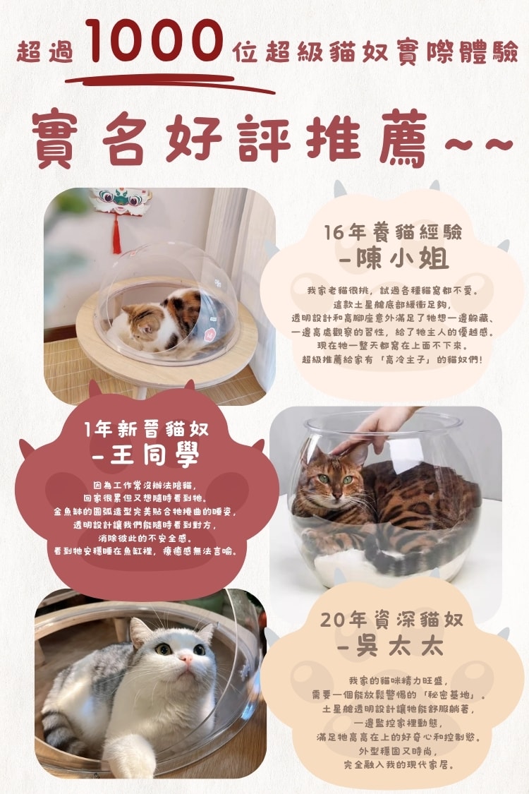 貓貓召喚陣x全裸透明貓窩