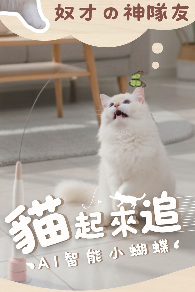 貓貓召喚陣 x 貓起來追 AI 智能小蝴蝶