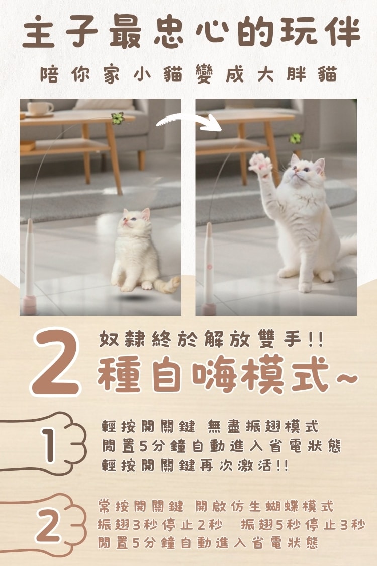 貓貓召喚陣 x 貓起來追 AI 智能小蝴蝶