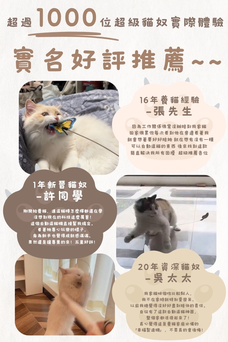 貓貓召喚陣 x 貓起來追 AI 智能小蝴蝶