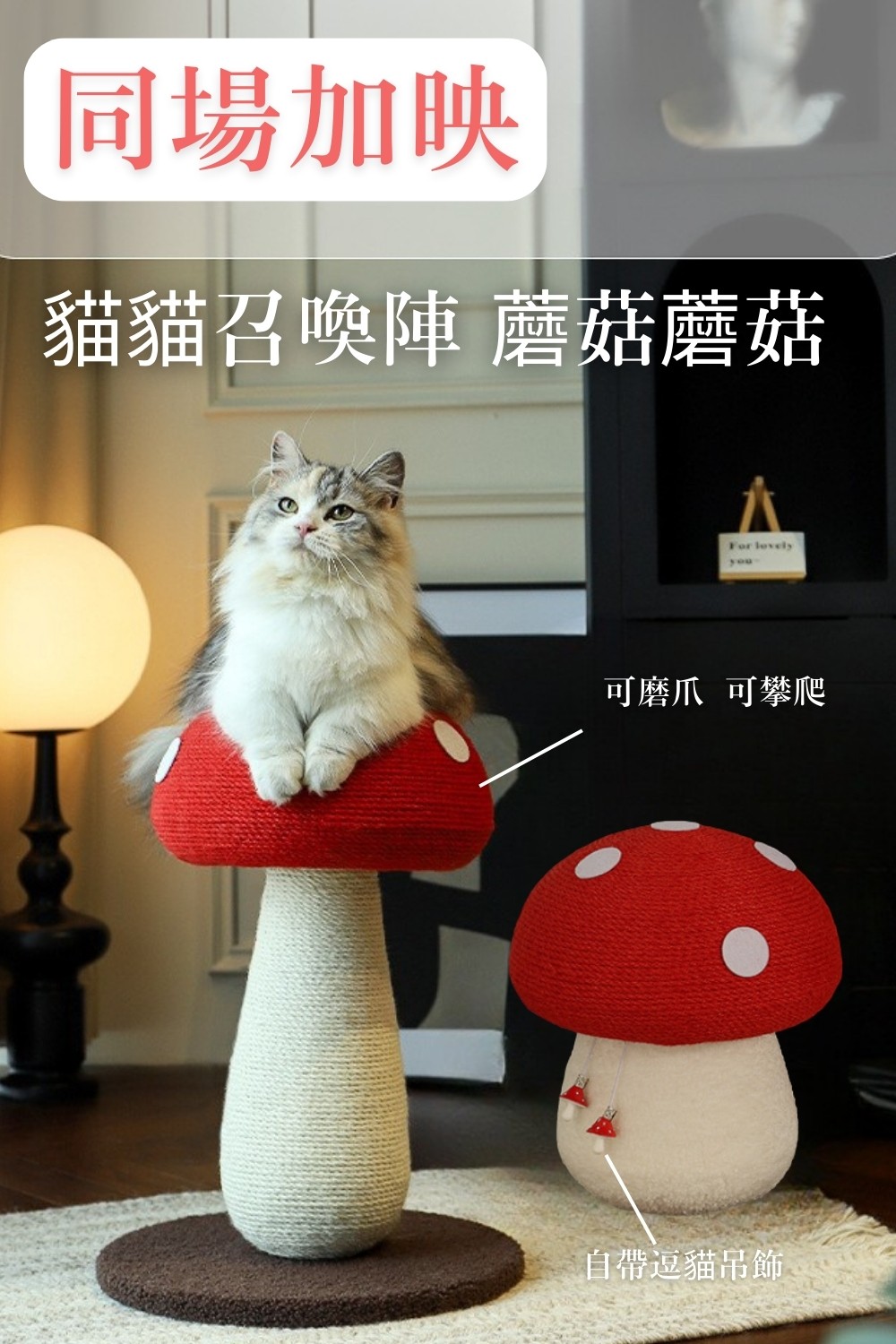 貓貓召喚陣系列同場加映