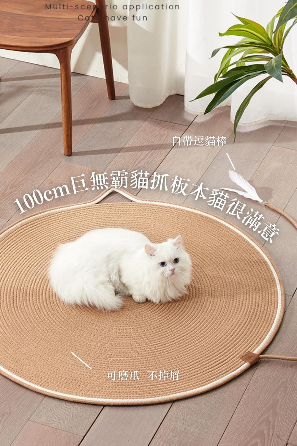 貓貓召喚陣系列同場加映