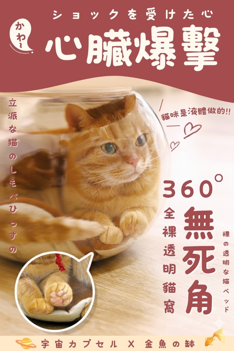 貓貓召喚陣系列同場加映