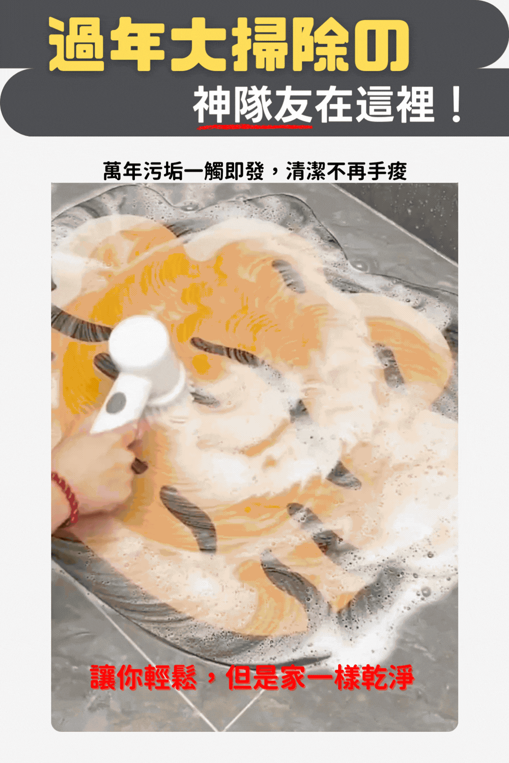 ColorFan 電動清潔刷